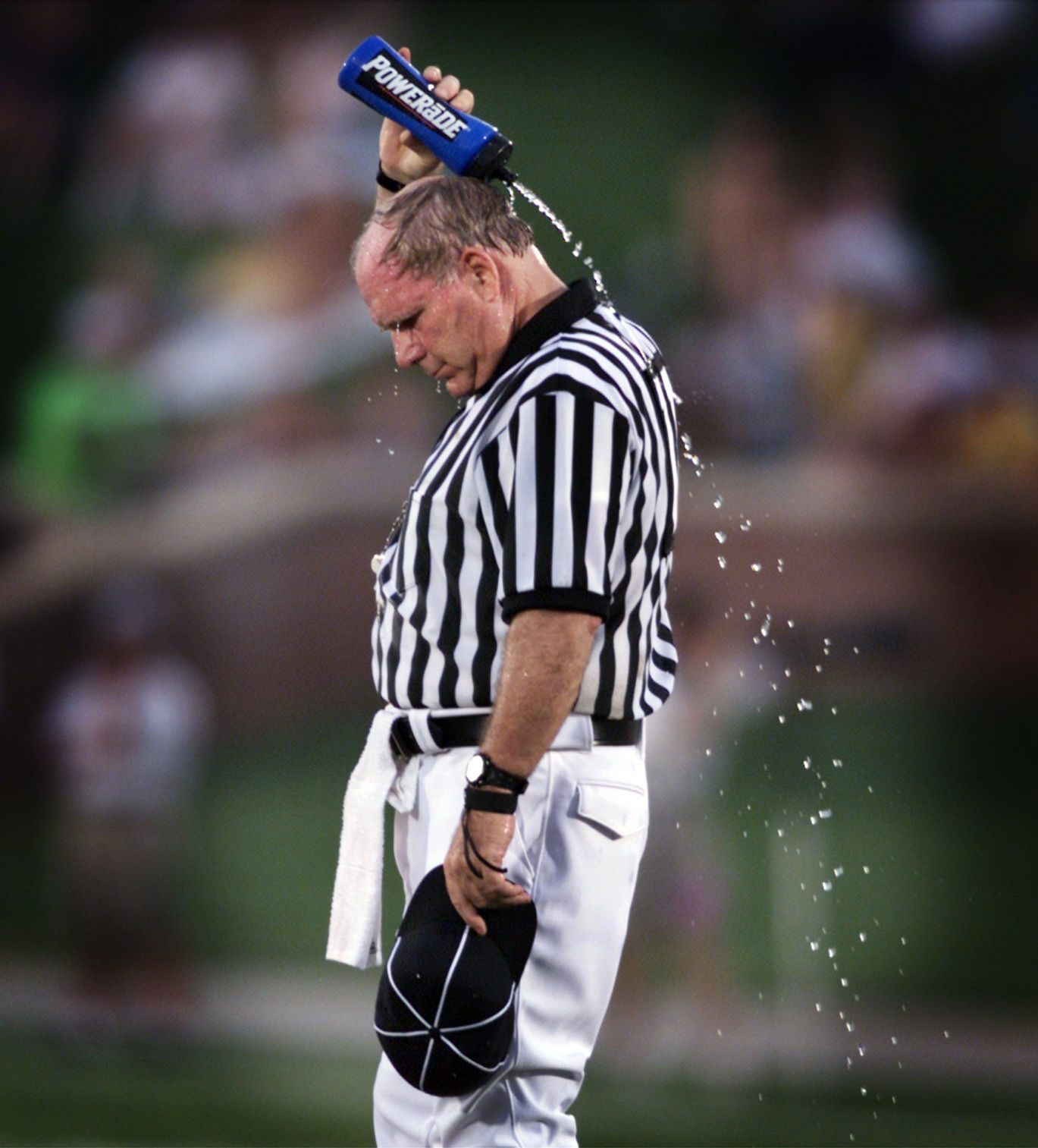 SP JBF HOT REF